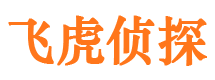 镇海侦探